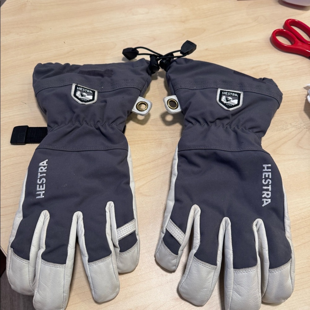 Hestra Gloves